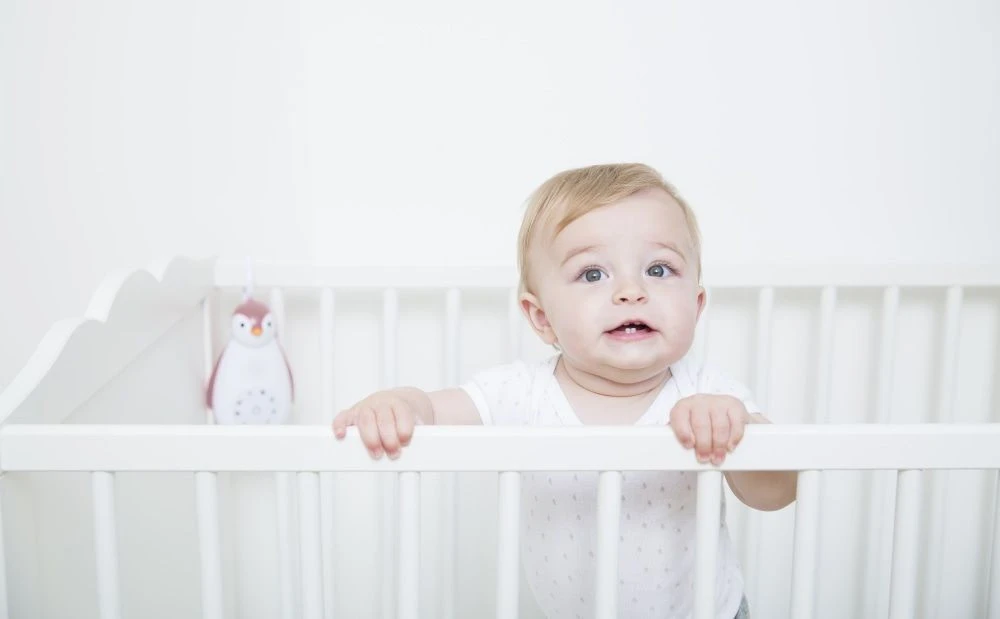 Zazu Zoe De Pinguin Grijs 3 In 1 Muziekdoosje ZA-ZOE-01 - Afbeelding 10