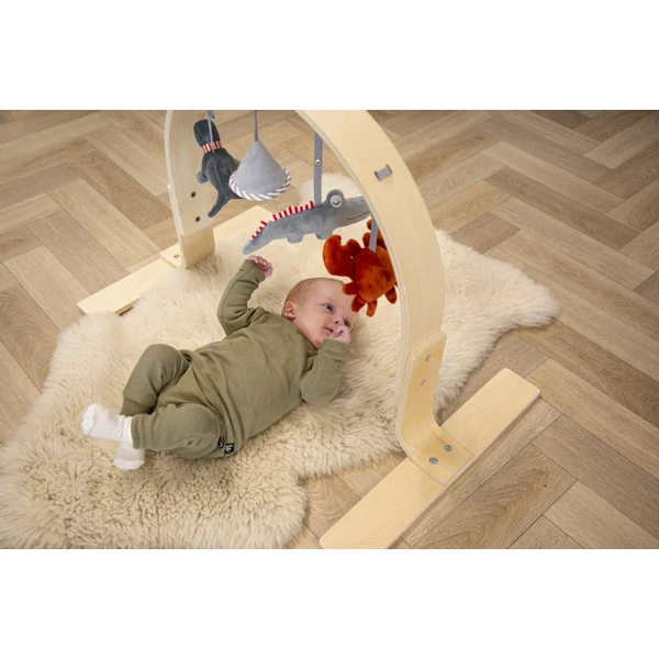 Tryco Houten Babygym TR-303011 - Afbeelding 6
