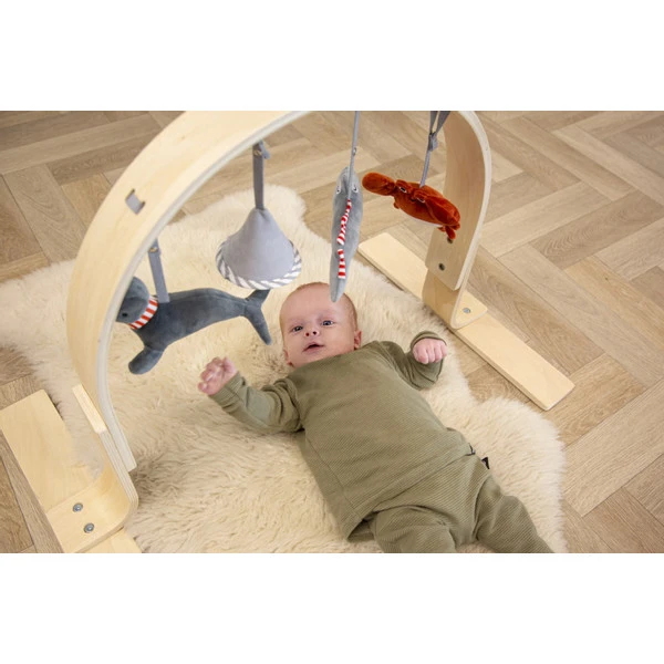 Tryco Houten Babygym TR-303011 - Afbeelding 5