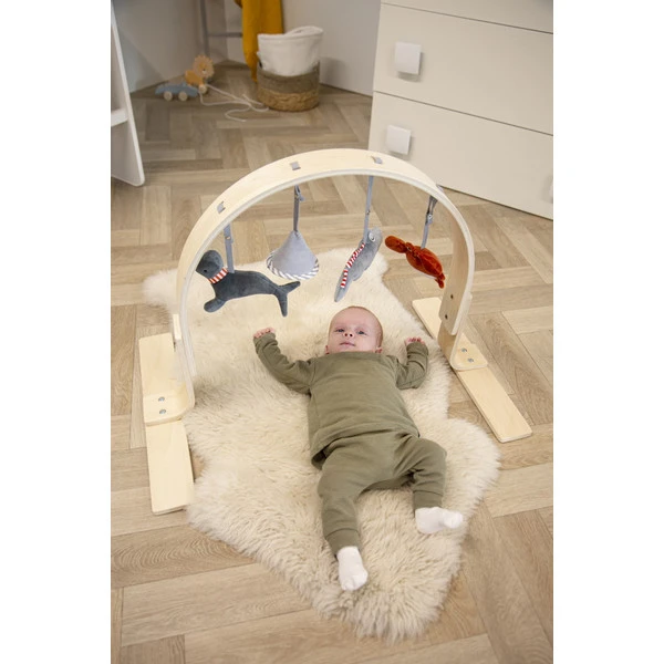 Tryco Houten Babygym TR-303011 - Afbeelding 7
