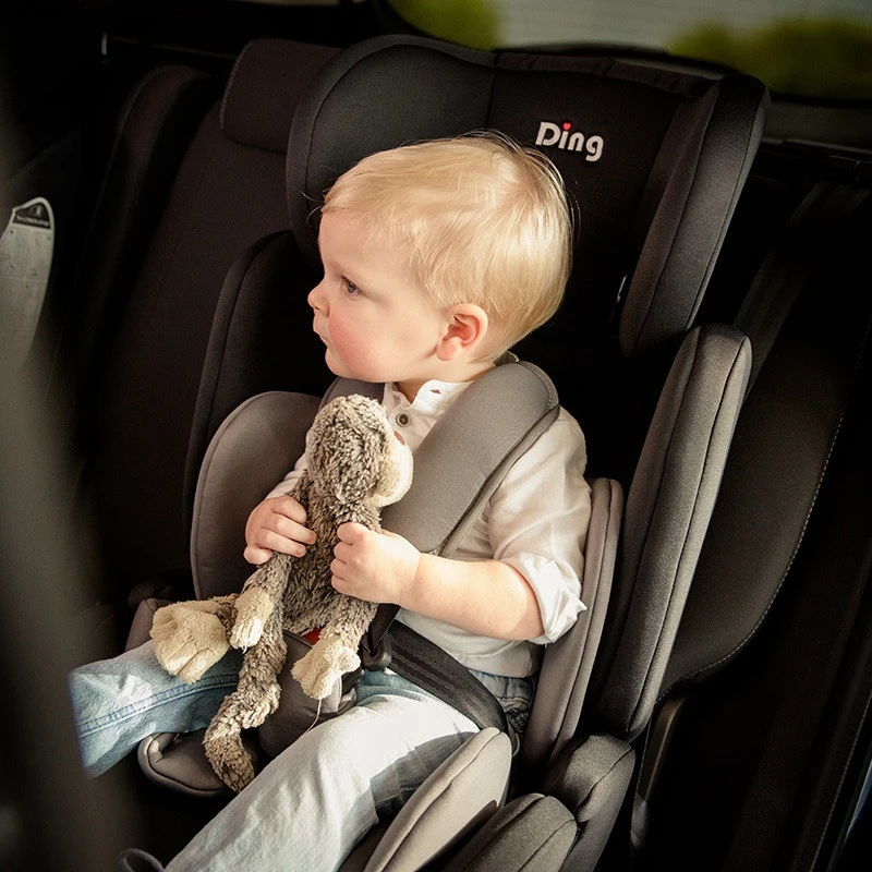 Ding Bas Roze Autostoel 9-36 Kg CS003 - Afbeelding 7