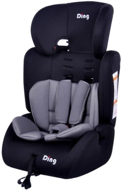 Ding Bas Grijs Autostoel 9-36 Kg CS003