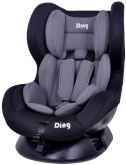 Ding Dano Zwart/Grijs Autostoel 0-18 Kg CS002